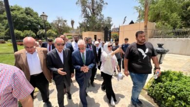 12 - إيجي بيزنس