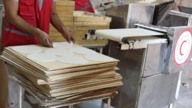 20 - إيجي بيزنس