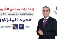 محمد المنزلاوي: إصلاح تشريعي لصناعة وطنية اقوي 3 مرات أولويتي في المرحلة المقبلة - إيجي بيزنس 66941dda b196 45ca a10e c3e326f0c472 - إيجي بيزنس