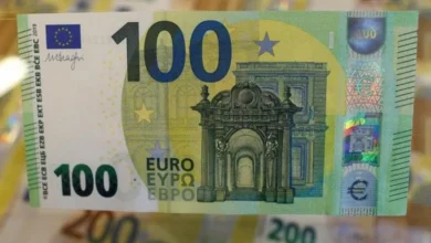 يورو - إيجي بيزنس