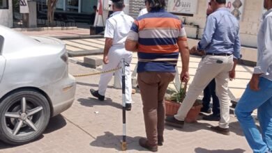 17 3 - إيجي بيزنس