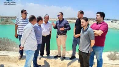 19 1 - إيجي بيزنس