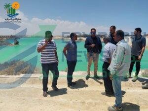 21 - إيجي بيزنس