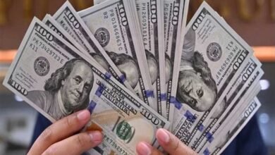 2721582 0 - إيجي بيزنس