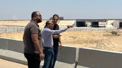 3 - إيجي بيزنس