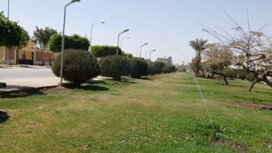 5 0b813c - إيجي بيزنس