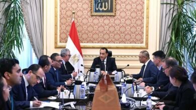 مجلس الوزراء: شراكة مع "إيليت سولار" لتوطين تكنولوجيا محطات الطاقة الشمسية والرياح - إيجي بيزنس file 1756946836 60cf80 - إيجي بيزنس