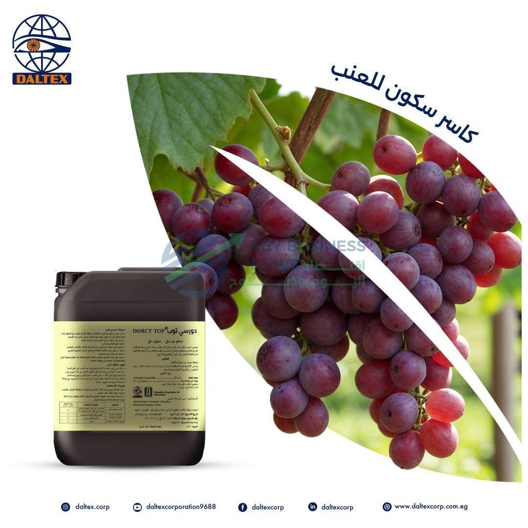 file 1758721880 10370a - إيجي بيزنس