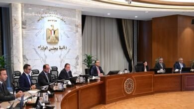 رئيس الوزراء يترأس اجتماع المجموعة الوزارية الاقتصادية لمنافشة اهم الملفات - إيجي بيزنس 12 79ecec - إيجي بيزنس