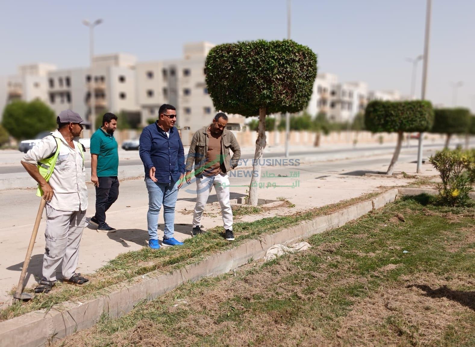 24 7e8215 - إيجي بيزنس