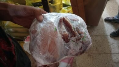 9 1392ec - إيجي بيزنس