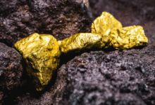 file 1760031909 e75d15 - إيجي بيزنس