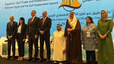 محمود سرج: دول الخليج ترى في مصر وجهة استثمارية واعدة بفضل الانفتاح الاقتصادي - إيجي بيزنس 0ee8ab1c 7980 4f51 ad8b 13b98d8c900d 01491e - إيجي بيزنس