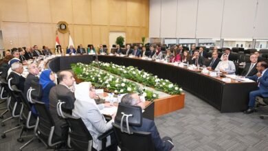 وزير الصناعة يوافق على تزويد 7 شركات بالطاقة لتعزيز الإنتاج الصناعي بالقناة - إيجي بيزنس 1763539663 0 815d02 - إيجي بيزنس