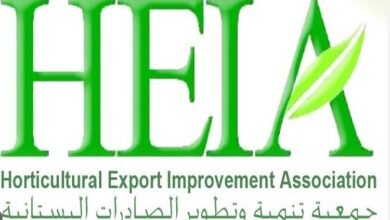 البلتاجي: جمعية تنمية الصادرات البستانية تدعم تطوير المنتج الزراعي المصري - إيجي بيزنس 17644294700 9332cc - إيجي بيزنس