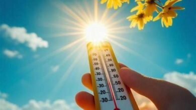 الطقس اليوم الأربعاء 26-11-2025.. انخفاض درجات الحرارة وشبورة كثيفة - إيجي بيزنس 19 2025 638991394237923751 792 72ea84 - إيجي بيزنس