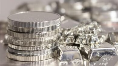 2025 10 17 11 21 7 852 51fa0d - إيجي بيزنس