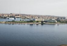 2025 11 4 12 31 50 291 f8eb47 - إيجي بيزنس