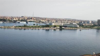 2025 11 4 12 31 50 291 f8eb47 - إيجي بيزنس