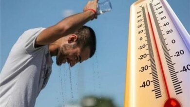 الطقس اليوم السبت.. تفاصيل حالة الجو ودرجات الحرارة المتوقعة - إيجي بيزنس 20250812220606801 35daaa - إيجي بيزنس