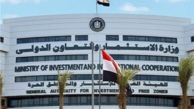 384 43e739 - إيجي بيزنس