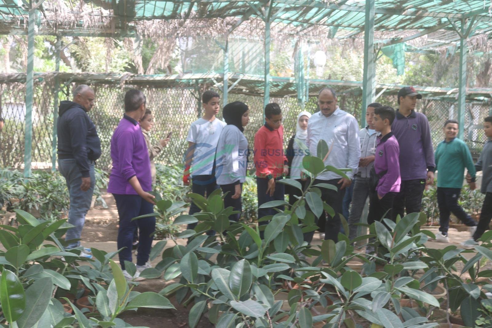 7029393f 46fb 48bd 8abb 01ee4b061377 b20c69 - إيجي بيزنس