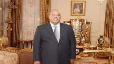 أيمن العشرى: المُنتدى المصرى الصينى خطوة مهمة لتعزيز التعاون التجارى والاستثمارى - إيجي بيزنس 9b97d4741d a4aceb - إيجي بيزنس