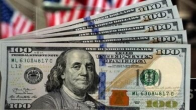 خبير اقتصادي يوضح أسباب انخفاض الدولار في مصر (فيديو) - إيجي بيزنس elaosboa73815 c7d1cb - إيجي بيزنس