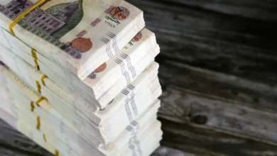 f95cc9e7 bb86 4b8d 9fb4 4756bc985fe8 16x9 1200x676 7df179 - إيجي بيزنس