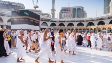 file 1763798133 61e1fc - إيجي بيزنس