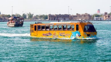 normal1 19 1024x640 1 ea0fa6 - إيجي بيزنس