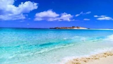 خبير اقتصادي: مشروع علم الروم ينعش الاحتياطي الدولاري ويحسن سعر الصرف - إيجي بيزنس resize 1 502dea - إيجي بيزنس