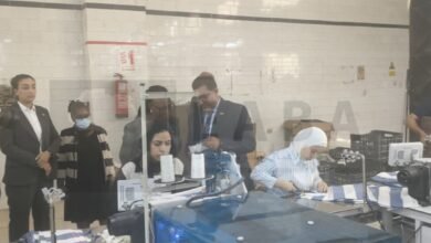 whatsapp image 2025 11 10 at 141305 b5c0ca1d b97a66 - إيجي بيزنس