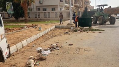 145 3dabca - إيجي بيزنس