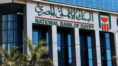 1501682 a42d70 - إيجي بيزنس