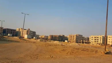 1734598102 0 6d10d4 - إيجي بيزنس