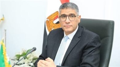 محافظ الجيزة: أسواق اليوم الواحد توفر السلع الأساسية بتخفيضات من 15 لـ30% - إيجي بيزنس 175 fccca9 - إيجي بيزنس