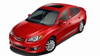 19 2025 639026327665564519 556 800728 - إيجي بيزنس