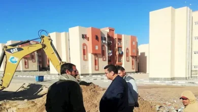 2022 2 24 10 1 40 997 262922 - إيجي بيزنس