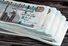 2025 11 20 9 55 35 136 d3ea9b - إيجي بيزنس