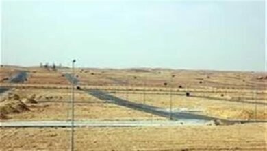 2025 12 22 8 54 16 791 78876c - إيجي بيزنس