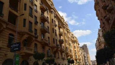 2025 8 4 16 32 37 439 dbefe2 - إيجي بيزنس