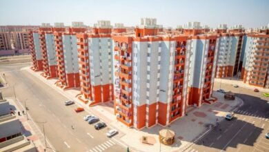 222966 932252179 16f890 - إيجي بيزنس