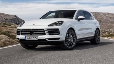 248 fe8240 - إيجي بيزنس