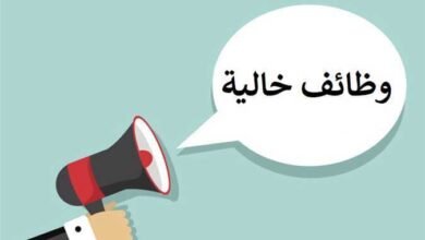 قدم الآن.. وزارة العمل توفر فرص عمل جديدة بالجيزة براتب يصل لـ8000 جنيه - إيجي بيزنس 2527723 0 871150 - إيجي بيزنس