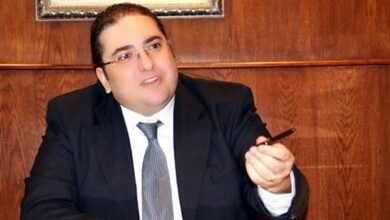 بشاي: مصر تتوسع في التعاون الأفريقي لنقل خبرات زراعة الأرز وتكنولوجيا الري الحديثة - إيجي بيزنس 331 b0f789 - إيجي بيزنس