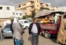 38 f3442b - إيجي بيزنس