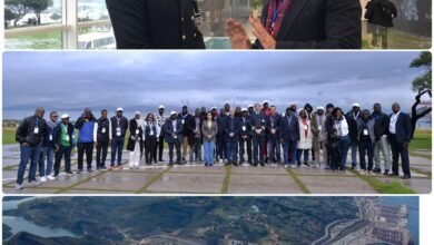 طنجة المتوسط منصة صناعية ولوجستية تضم أكثر من 1400 شركة - إيجي بيزنس 4 9f2ef3 - إيجي بيزنس