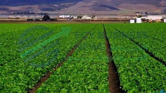 الريف المصري تطلق مشروعا لتوصيل الكهرباء لمليون فدان بسهل المنيا الغربي - إيجي بيزنس 494 8626f5 - إيجي بيزنس