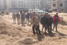 5 501eae - إيجي بيزنس